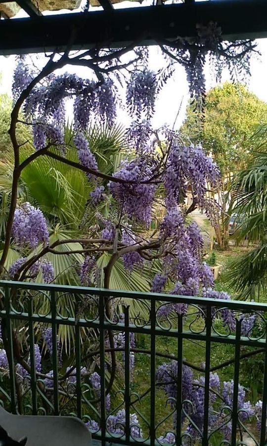 La Maison Botanique Castillon-la-Bataille Dış mekan fotoğraf